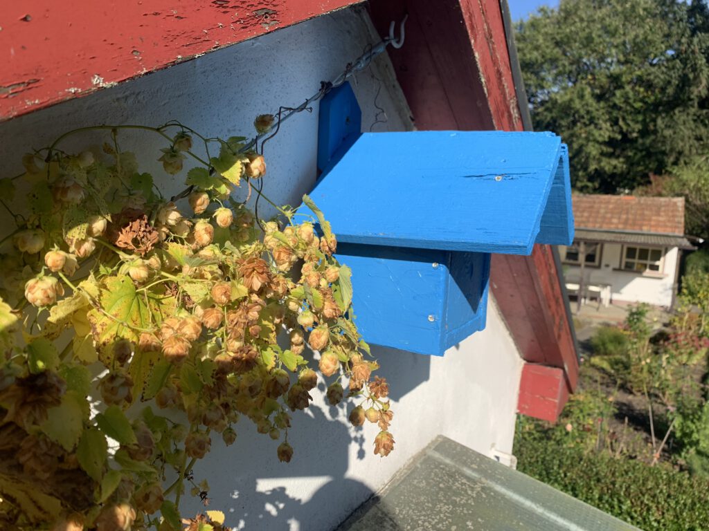 Vogelhäuschen an der Hausfassade im Giebel